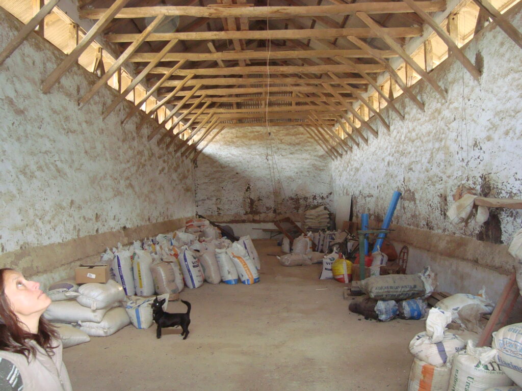 chile hacienda de manuel rodriquez2