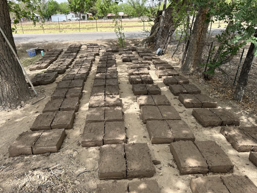 photo may 06 2025, 11 39 16 am