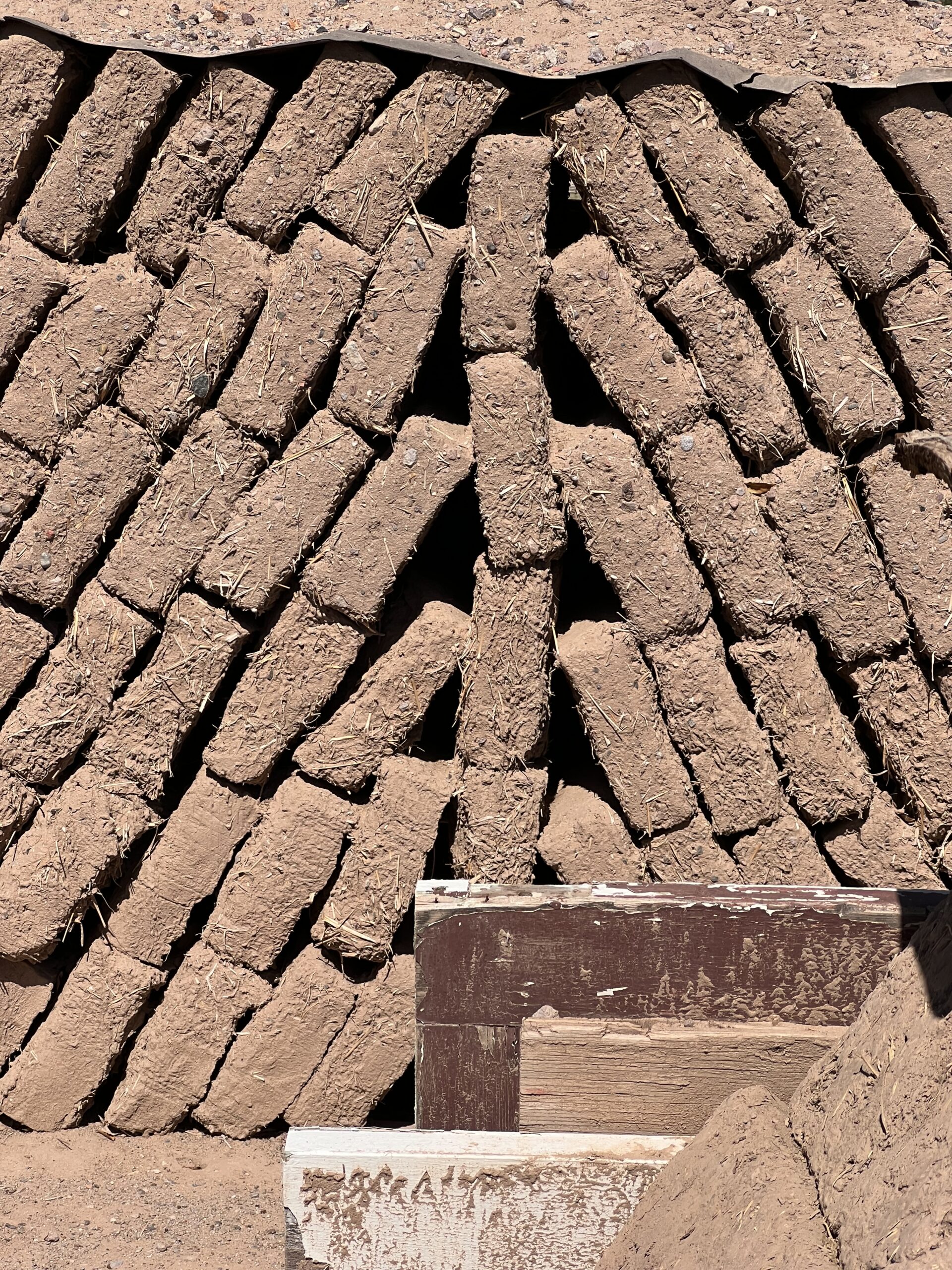 photo sep 30 2024, 11 29 14 am