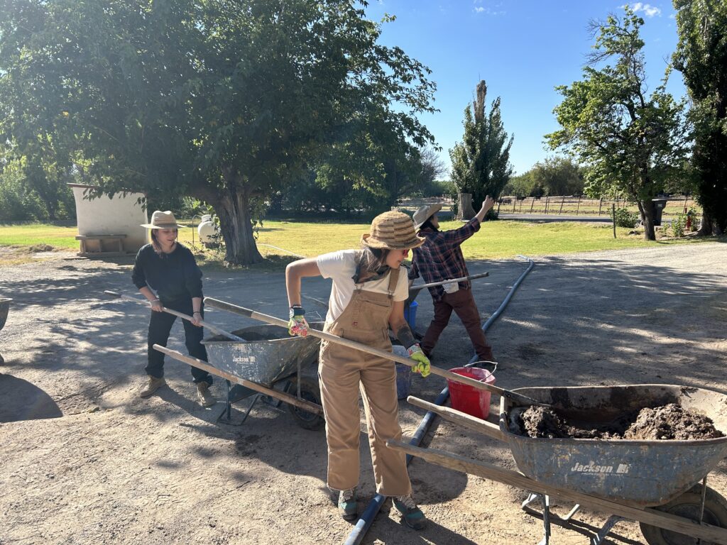 photo sep 30 2024, 9 51 16 am